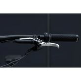 Brake Lever Blade Set Oak Components SR (SRAM) - Raw - Genetik Sport