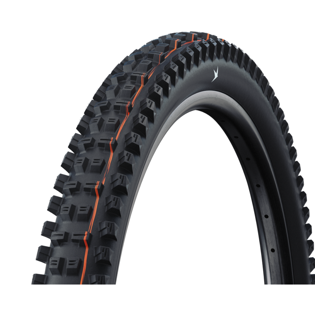 Tire SchwalbeTacky Chan Gravity Pro 29x2.50 Soft Radial - Genetik Sport