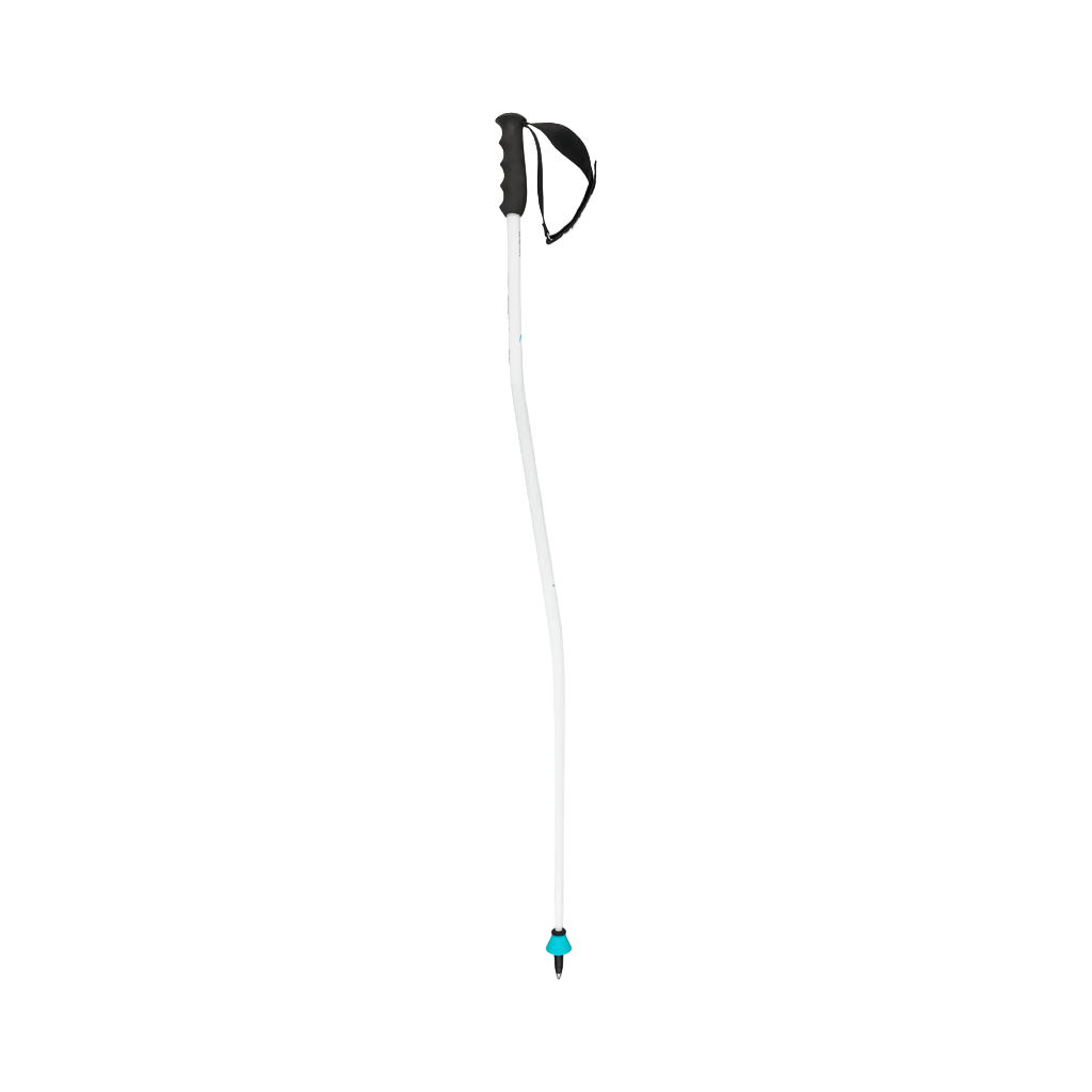 Ski Poles Head Worldcup SG - Genetik Sport