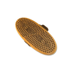 Oval Brush Kuu Horsehair - Genetik Sport