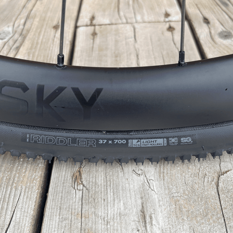 Demo Gravel/All Road Bike Salsa Warbird Carbon - Gloss Black - Genetik Sport